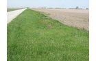 Property photo 24 - 172 Acres Offered in 3 Tracts - Prime Farmland